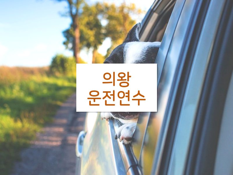 의왕운전연수 후기