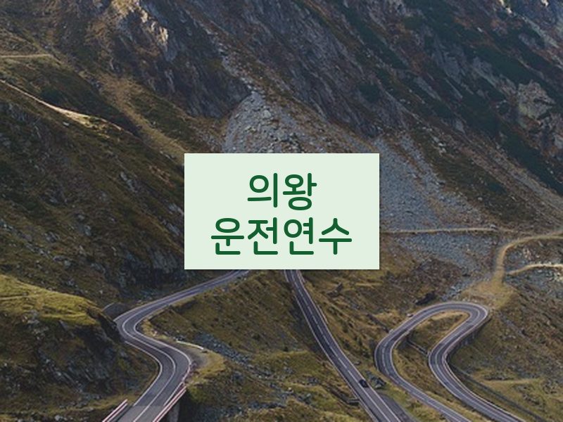 의왕운전연수 후기