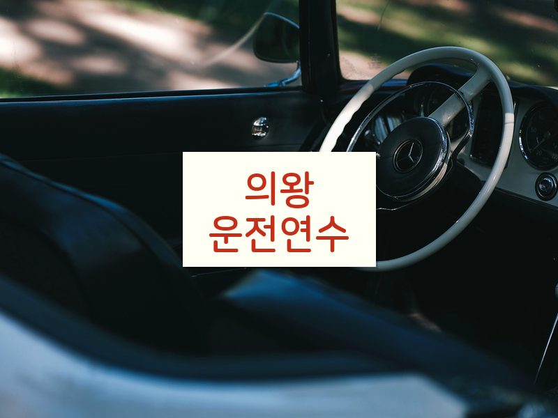 의왕운전연수 후기