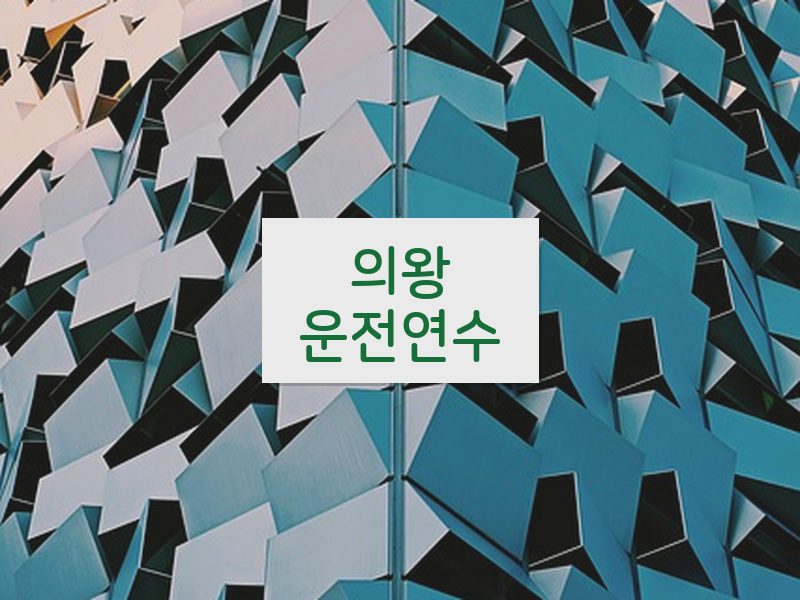 의왕운전연수 후기