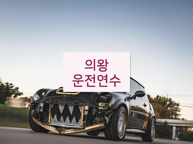 의왕운전연수 후기