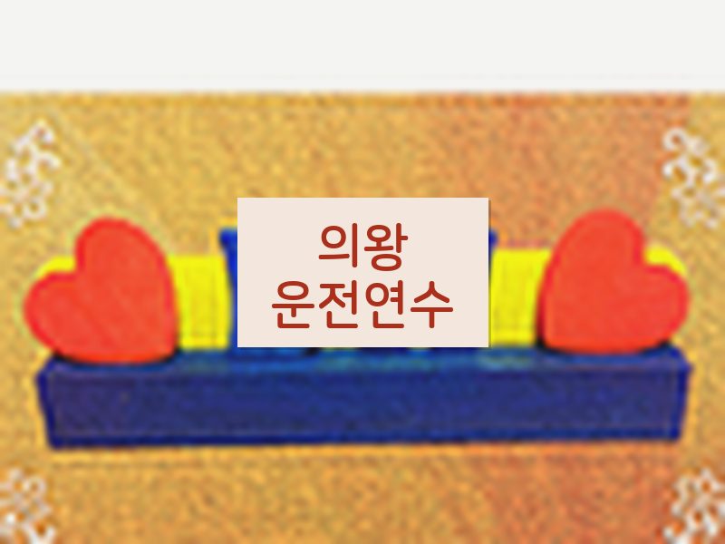 의왕운전연수 후기