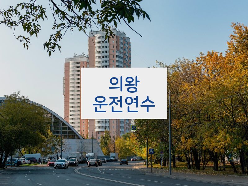의왕운전연수 후기