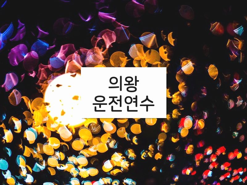 의왕운전연수 후기