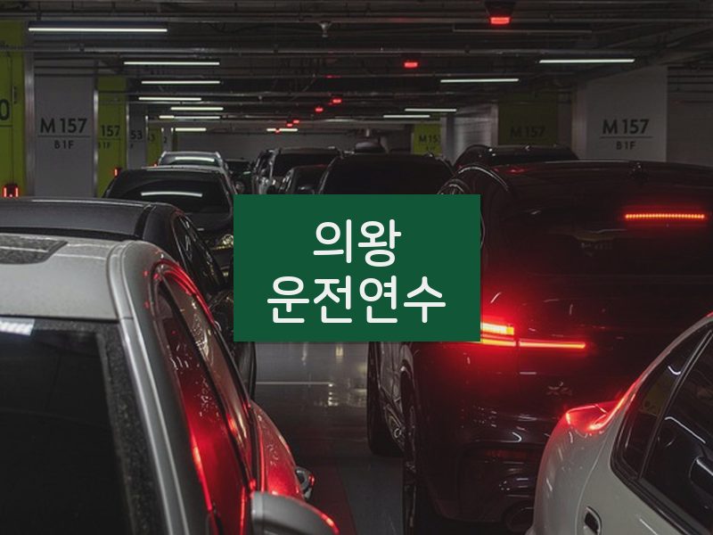 의왕운전연수 후기