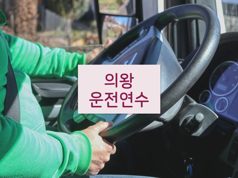 의왕운전연수 후기