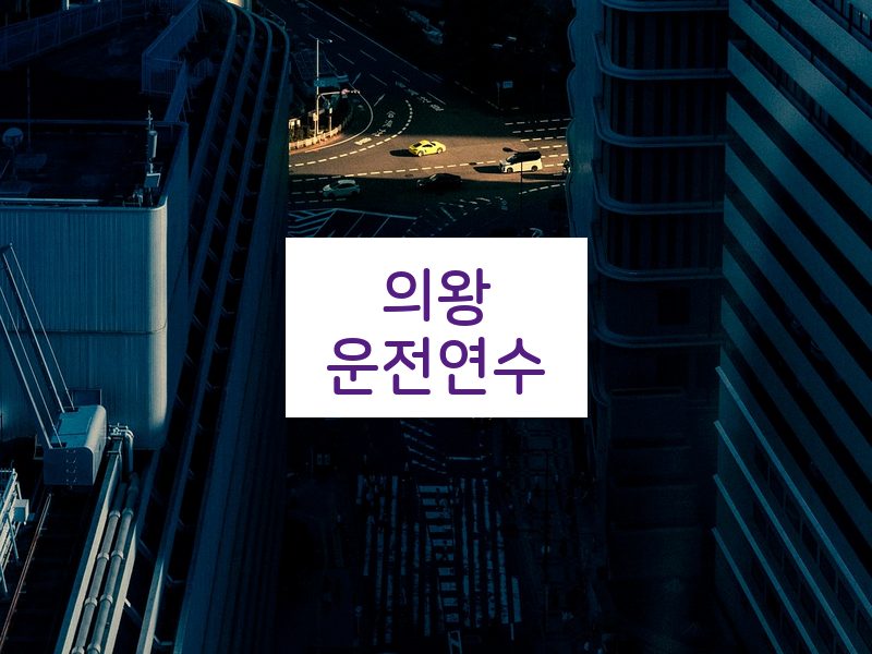 의왕운전연수 후기