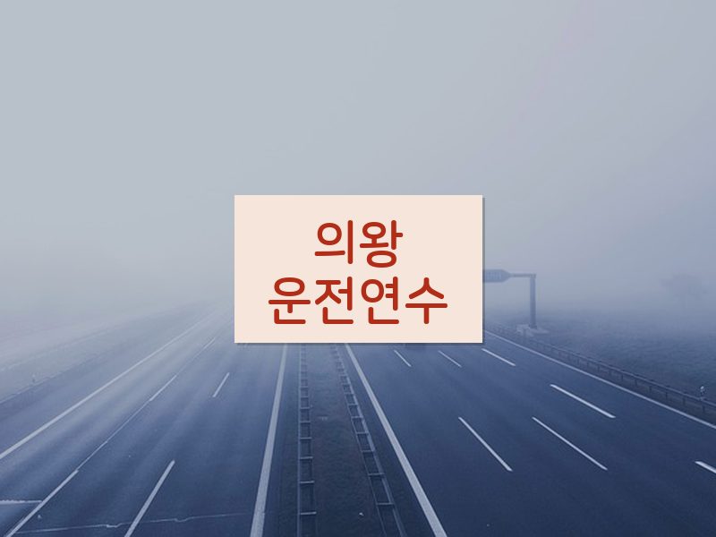 의왕운전연수 후기