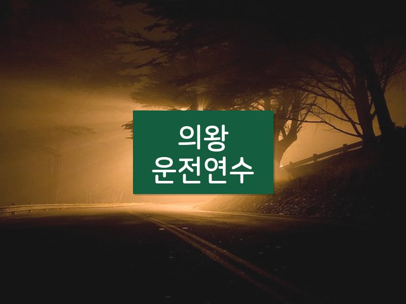 의왕운전연수 후기