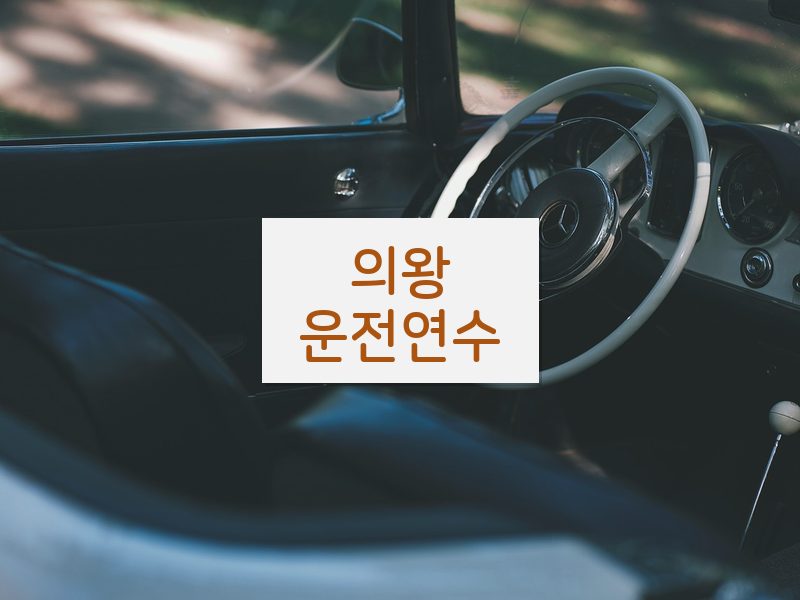 의왕운전연수 후기