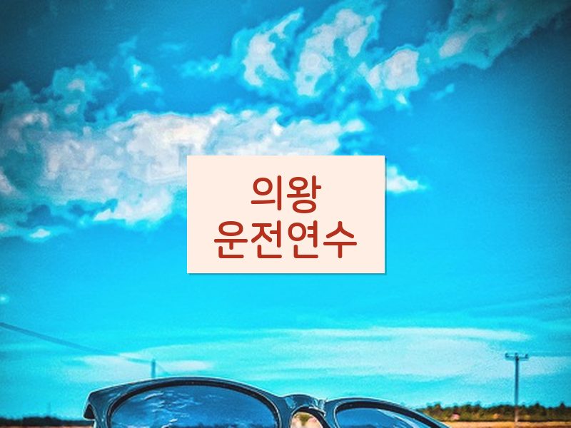 의왕운전연수 후기