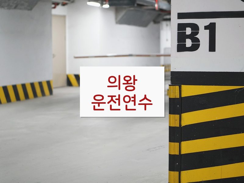 의왕운전연수 후기