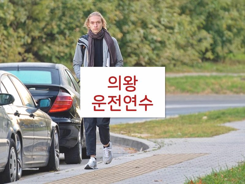 의왕운전연수 후기