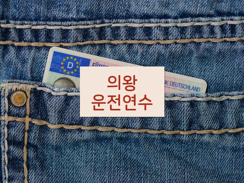 의왕운전연수 후기
