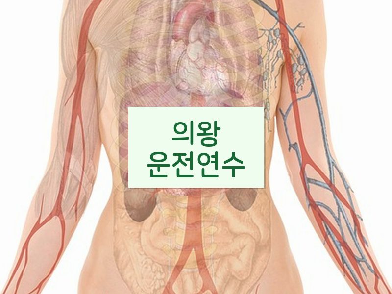 의왕운전연수 후기