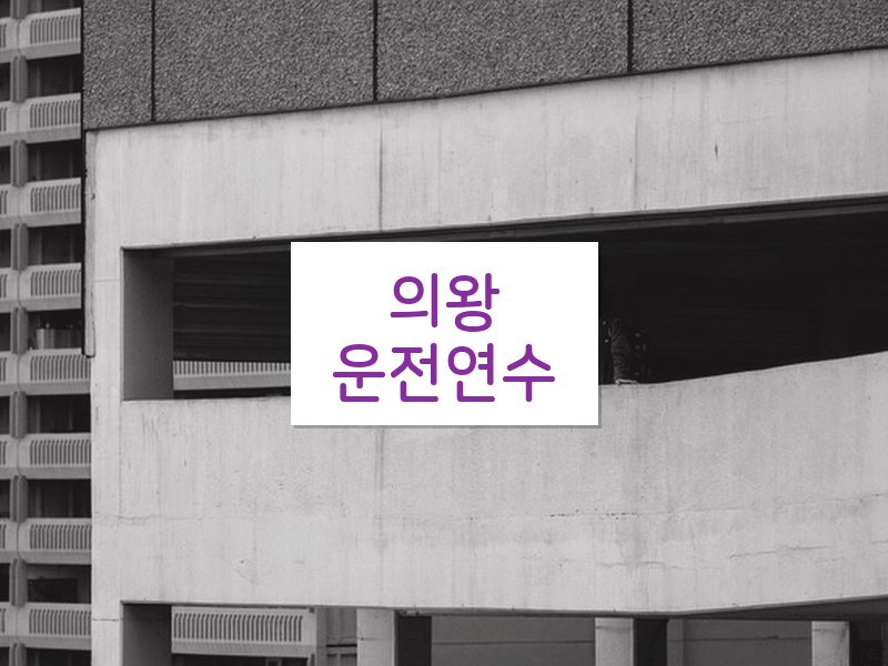 의왕운전연수 후기