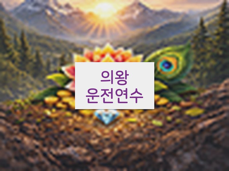 의왕운전연수 후기