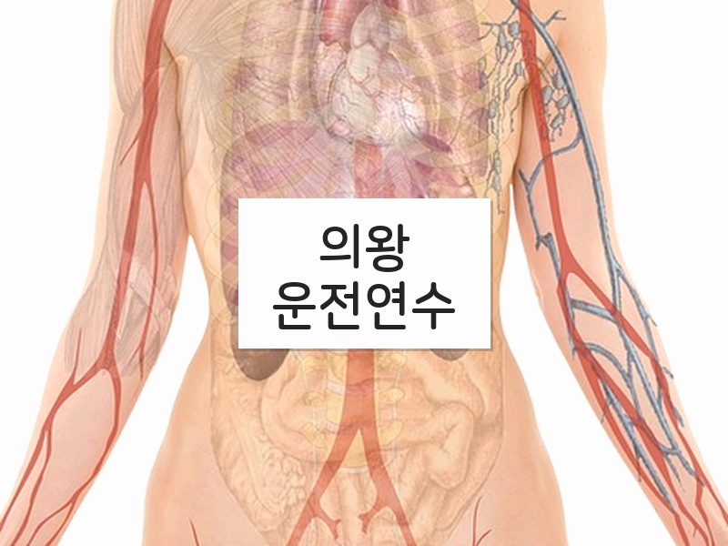 의왕운전연수 후기