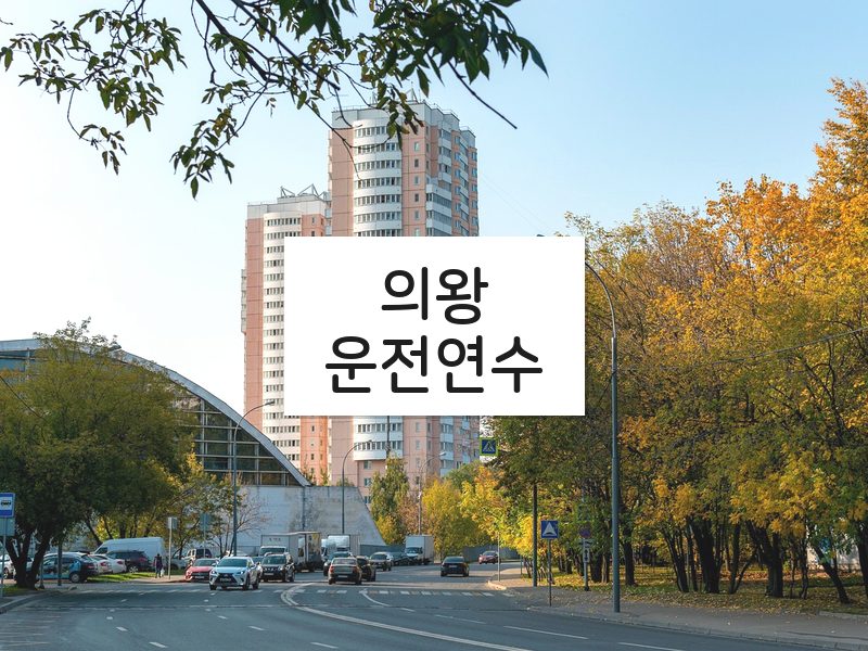 의왕운전연수 후기