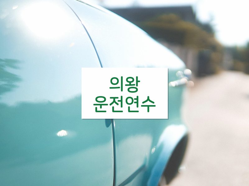 의왕운전연수 후기