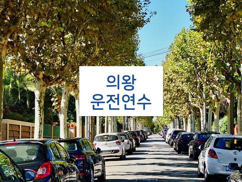 의왕운전연수 후기