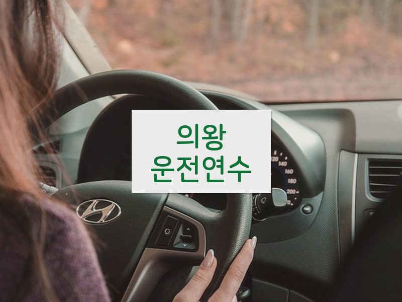 의왕운전연수 후기