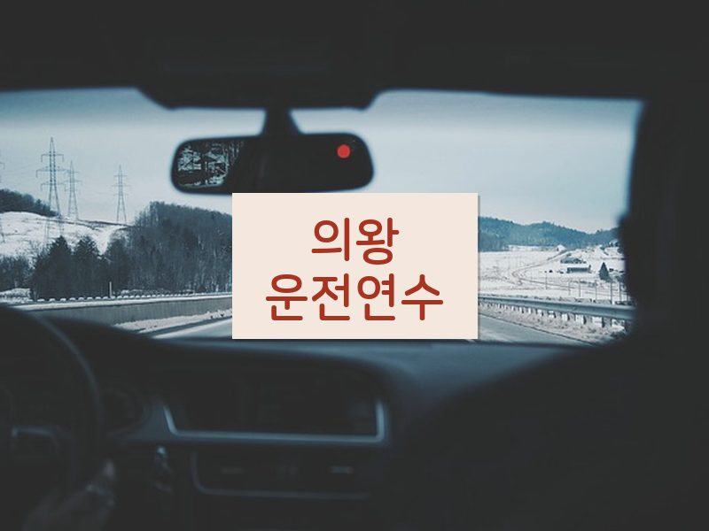 의왕운전연수 후기