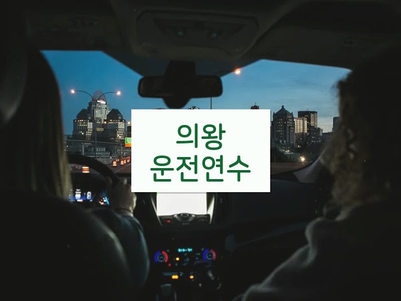 의왕운전연수 후기