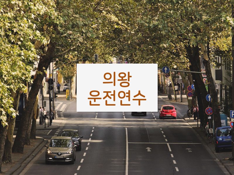의왕운전연수 후기