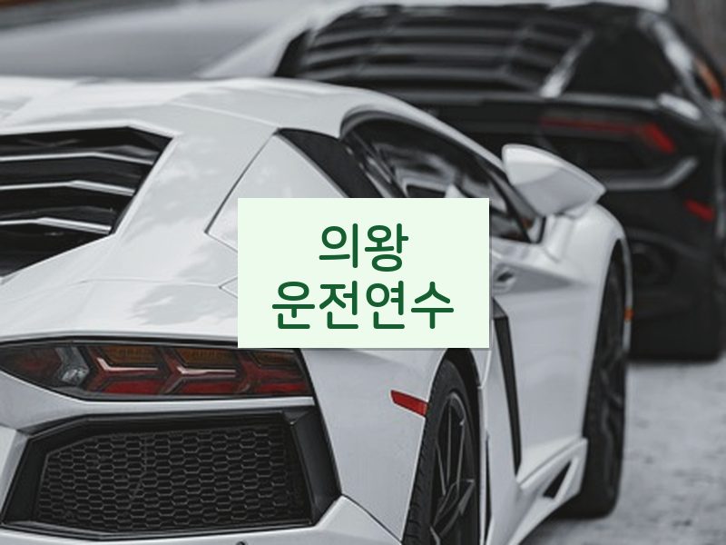 의왕운전연수 후기