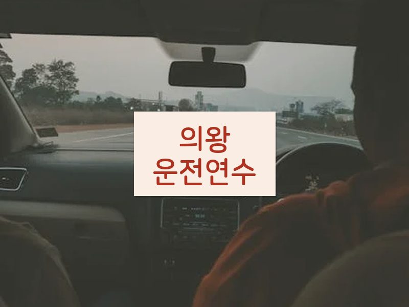 의왕운전연수 후기