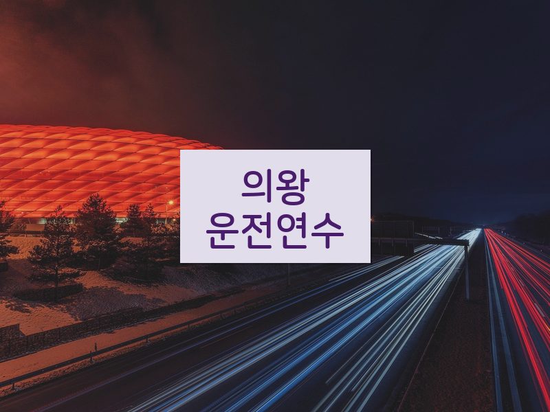 의왕운전연수 후기