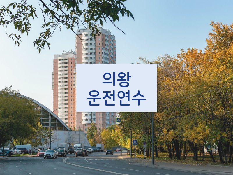 의왕운전연수 후기