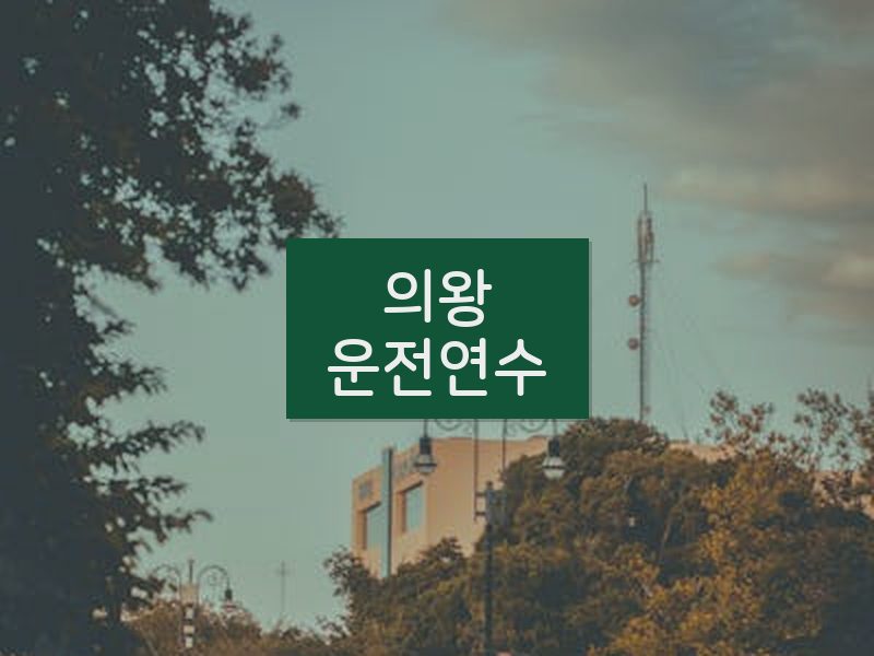 의왕운전연수 후기