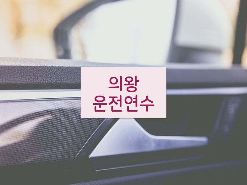 의왕운전연수 후기