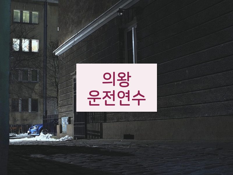 의왕운전연수 후기