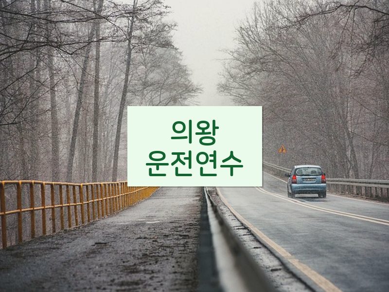 의왕운전연수 후기