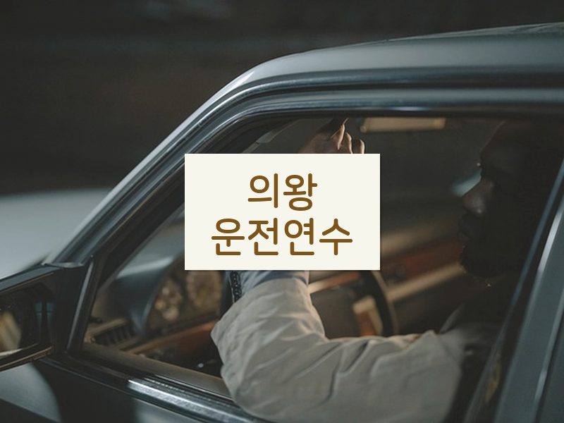 의왕운전연수 후기