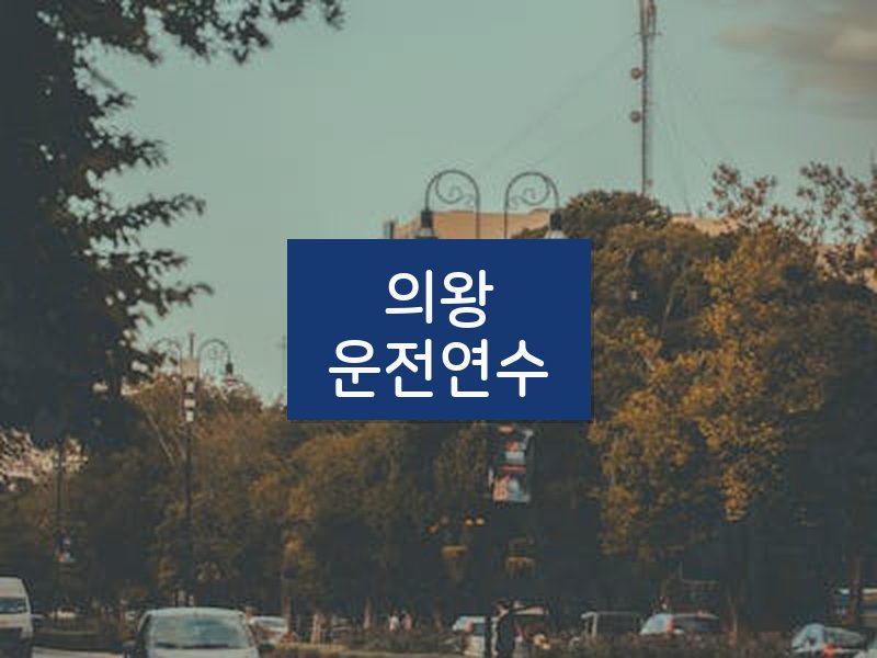 의왕운전연수 후기