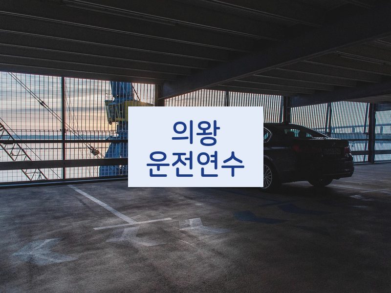 의왕운전연수 후기