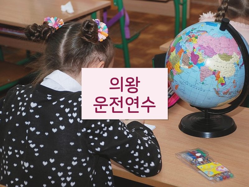 의왕운전연수 후기