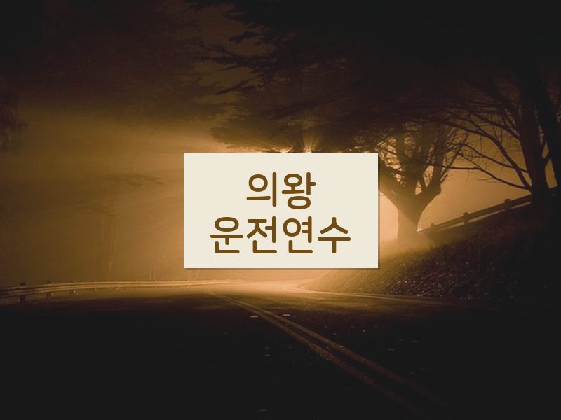 의왕운전연수 후기