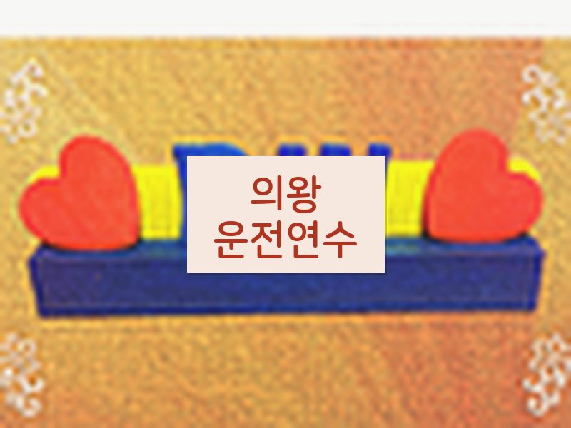 의왕운전연수 후기
