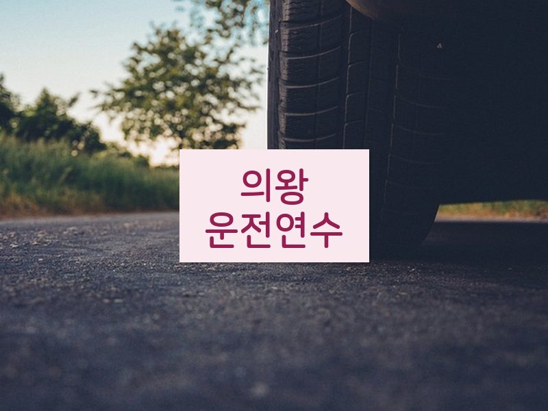 의왕운전연수 후기