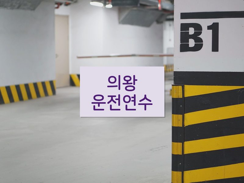 의왕운전연수 후기