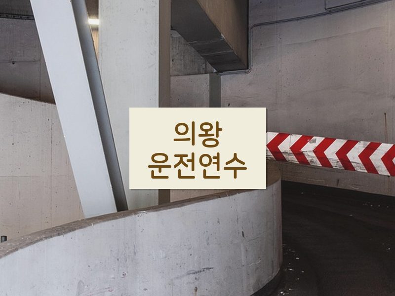 의왕운전연수 후기
