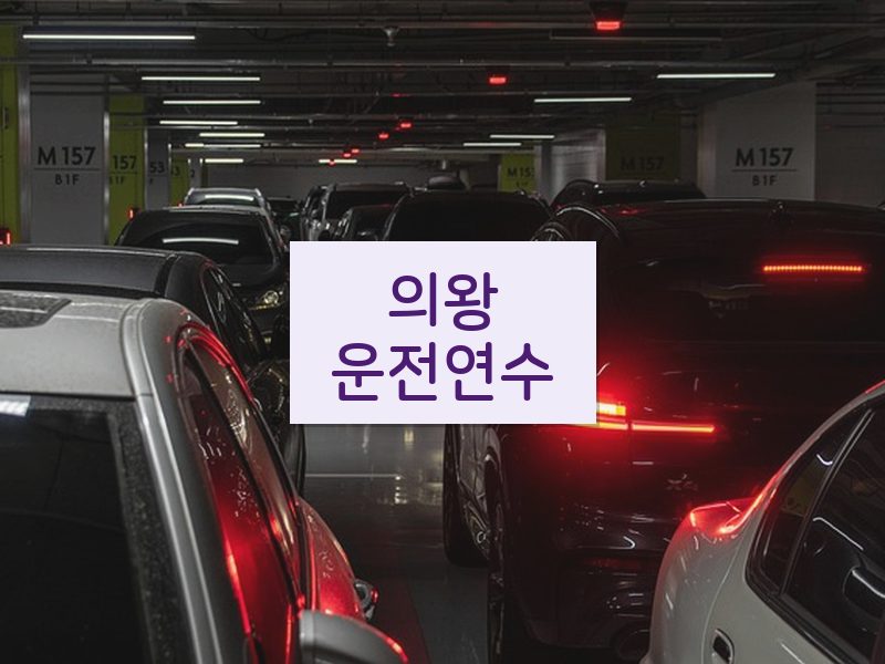 의왕운전연수 후기