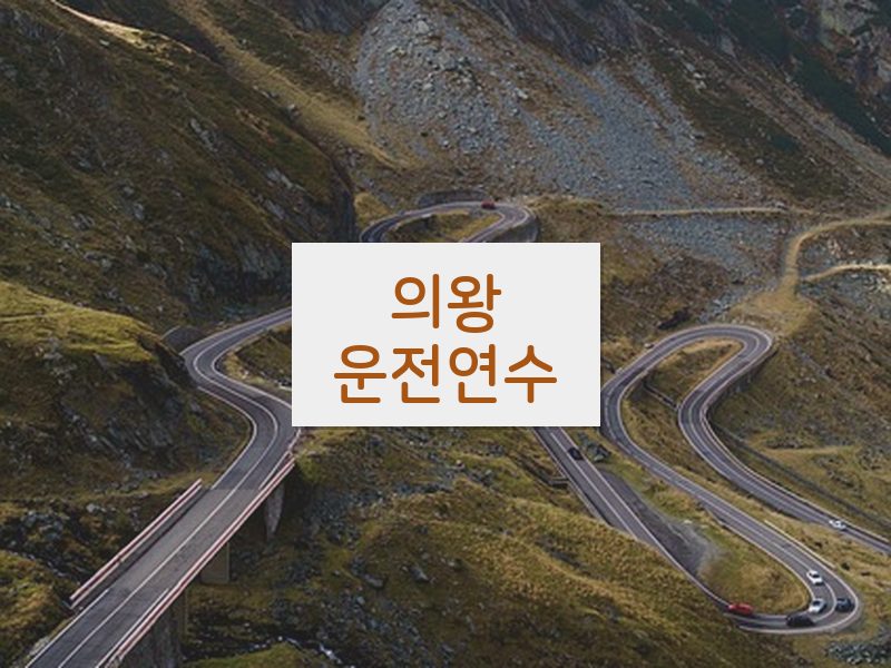 의왕운전연수 후기