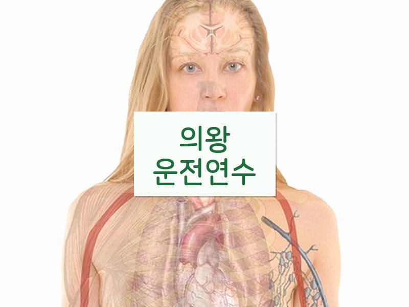 의왕운전연수 후기
