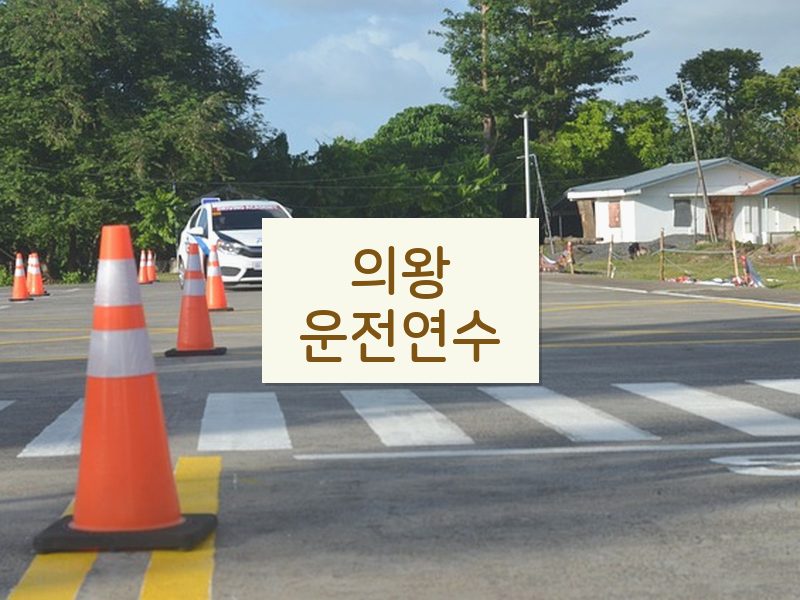의왕운전연수 후기